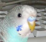 post-8130-1195988219_thumb.jpg