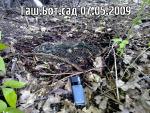post-8333-1241729963_thumb.jpg