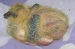 post-8429-1205436162_thumb.jpg
