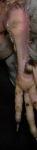 post-8429-1211822774_thumb.jpg