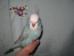 post-8444-1363344043_thumb.jpg