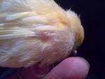post-8447-1257849609_thumb.jpg