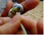 post-846-1414689959_thumb.jpg