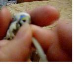 post-846-1414689981_thumb.jpg
