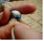 post-846-1414689989_thumb.jpg