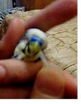 post-846-1414689998_thumb.jpg