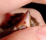 post-846-1427216211_thumb.jpg