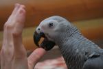 post-8481-1205687644_thumb.jpg