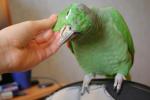 post-8481-1224076921_thumb.jpg
