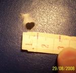 post-8844-1220030496_thumb.jpg