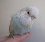post-8844-1337159061_thumb.jpg