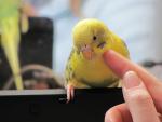post-9100-1269078079_thumb.jpg