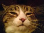 post-9203-1196881701_thumb.jpg