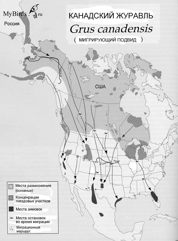 Ареал канадского журавля (Grus Canadensis)