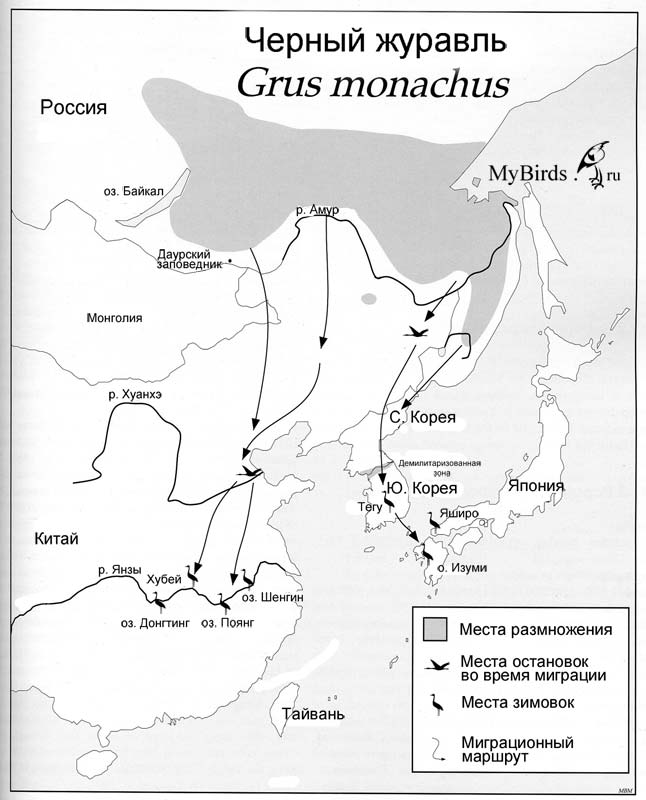 Ареал Черного журавля (Crus monarhus)