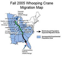 местонахожение команды Operation Migration на 26,11,2005 г.