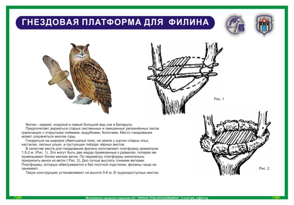 Типы гнездования птиц. Искусственные гнездовья для сов. Гнездовье для Совы. Места гнездований хищных птиц. Искусственные гнездовья для хищных птиц.