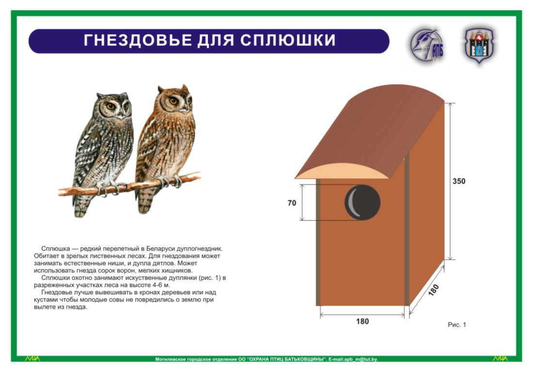 Скворечник для воробья размеры с рисунком