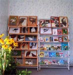 книги и фотографии с птицами